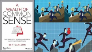 A Wealth of Common Sense Summary