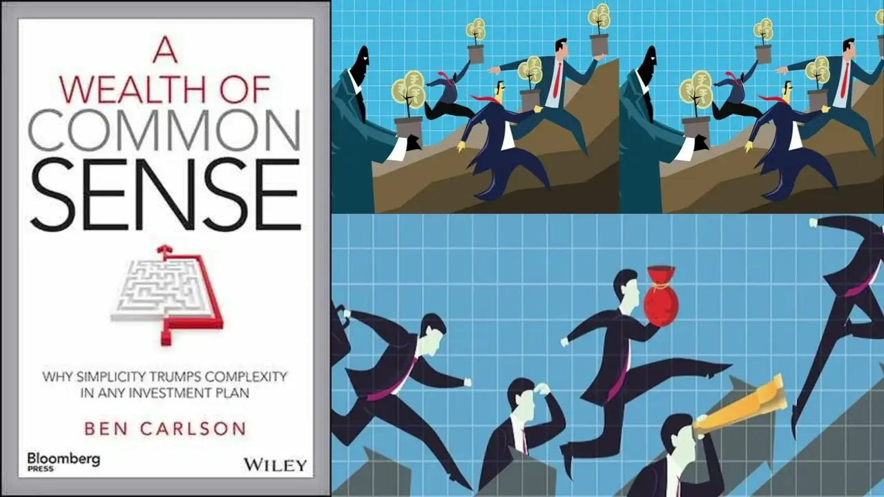 A Wealth of Common Sense Summary